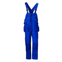 Helly Hansen ASHFORD kombininzonas mėlynas C52