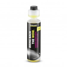 KARCHER RM 672 vasarinio stiklų ploviklio koncentratas 250 ml