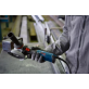BOSCH GWS 17-125 S INOX kampinis šlifuoklis